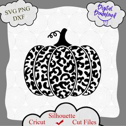 Halloween Leopard Print Pumpkin SVG, Thanksgiving Pumpkin Svg, Pumpkin Svg, Thanksgiving Svg, Halloween Svg, Cricut, Png