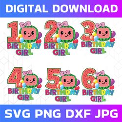 Cocomelon Birthday Girl Png, Cocomelon Age 1st 2nd 3rd 4th Png, Bundle Cocomelon Sublimation, Cocomelon Png