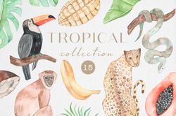 Watercolor Tropical Clipart / Tropical Leaves Collection / Tropical Wild Animals / Tropical Fruits / PNG