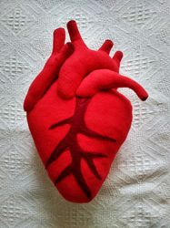 Anatomical Heart plush pillow home decor