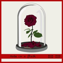 a rose in a flask
