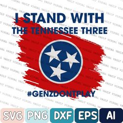 Gun Control Protest, Protect Democracy, Stand With The Tennessee Three Svg