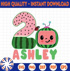Personalized Coco melon birthday Svg Png, Customized Cocomelon Birthday Png, Custom Personalize Birthday Family matching