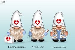 Gnome Nurse PNG