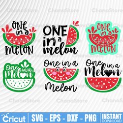 One In a Melon SVG, One In a Melon Family SVG Bundle, Watermelon Birthday SVG, Summer svg, Watermelon svg