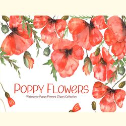 Watercolor Poppy Flowers Collection