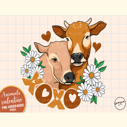 Xoxo Cow Valentine PNG Sublimation