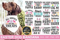 Easter Dog Bandana SVG Bundle