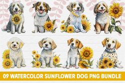 Sunflower Dog Breed Watercolor PNG Bundl
