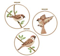 Sparrow set cross stitch pattern Birds design Sparrows in hoops cross stitch Animal pdf pattern Nature cross stitch