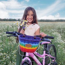 Kid bike basket. Wicker bike basket. Bicycle basket. Rainbow bike bag. Bike accessories. Rainbow basket. Gift basket.