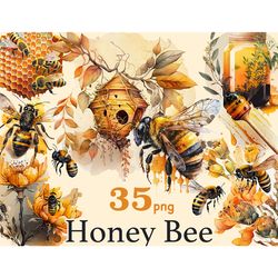 Honey Bee Clipart | Watercolor Honey Illustration