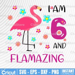 I Am 6 And Flamazing svg Amazing 6th Birthday Flamingo dxf,png, Eps, files for Silhouette, Cricut, Cutting Machines