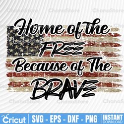 Home of the Free Because of The Brave, USA Flag, PNG for sublimation, memorial day png, independence day, patriotic