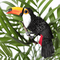 Big toucan. Brooch. Bird brooch. Tropical bird.