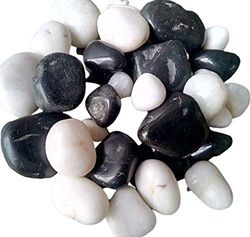 Enhance Your Decor with Bold Contrast - Black and White Mix Pebbles Pack of 20 for Home and Garden