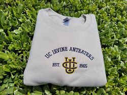 UC Irvine Anteaters Embroidered Sweatshirt, NCAA Embroidered Sweatshirt, Embroidered NCAA Shirt, Hoodie