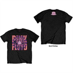 Pink Floyd Unisex T-Shirt: Arnold Layne (Back Print)