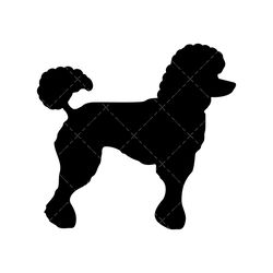 Poodle SVG, PNG, PDF, Poodle Silhouette SVG, Cute Dog SVG