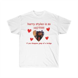 Harry Styles is is so hot meme tshirt, One Direction,Graphic tee, love on tour merch,gift for her and him