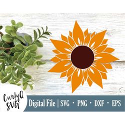 svg, sunflower, cut file, flower svg, diy, design element, cute svg, mask decal, shirt decal, silhouette, cricut, summer
