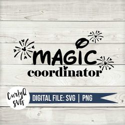 SVG, Magic Coordinator, castle, family trip, digital download, instant, diy, cut file, cricut, magic, princess, mom, mic