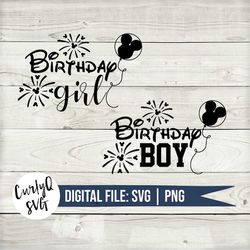SVG, birthday boy, birthday girl, mickey, minnie, digital download, instant, cut file, cricut, diy, castle, magical, bes