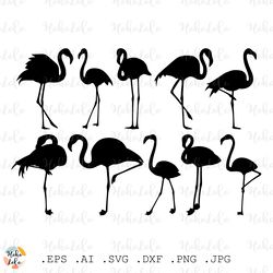 Flamingo Svg Silhouette Cricut files Download Stencil Templates Dxf Clipart Png