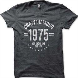Crazy Diamond David Gilmour inspired Pink Floyd cotton t-shirt 9029