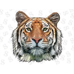 Tiger Face Scratch Shadow Png Sublimation Design,Tiger Png, Tiger Face Png,Wild Animal Png, Tiger Portrait Png, Instant