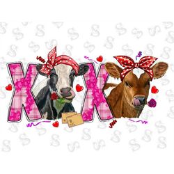 Valentine's Day Xoxo With Cows Png Sublimation Design,Valentine's Day Png,Valentines Day Png,Xoxo animals Png,Cows Png,D