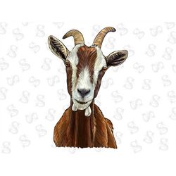Fainting Goat Png Sublimation Design,Fainting Goat Png,Animals Goat Png, Fainting Png,Download,Western Animals Png,Goat