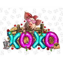 Valentine's Day Xoxo Pig Png Sublimation Design,Happy Valentine's Day Png,Valentine Png,Valentine Xoxo,Xoxo Pigs,Pigs Pn