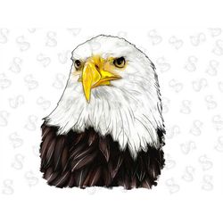 Bald Eagle Png Sublimation Design,Digital Transfer,Clipart,Clip Art,Bald Eagle Png ,Bald Eagle,Patriotic,Instant Downloa
