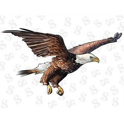 White Headed Eagle Png, Eagle Png Sublimation Design, Hand Drawn Eagle Png, Eagle Clipart, Eagle Portrait Png, Animal Pn