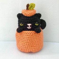 Amigurumi Crochet Cat in a Pumpkin Pattern Digital Download