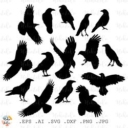 Raven Svg Crow Silhouette Cricut files Template Clipart Png Bird Dxf