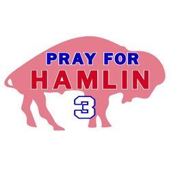 Pray For Damar Hamlin 3 Buffalo Bills Logo SVG