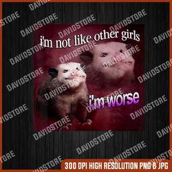 Possum I'm not like other girl's I'm worse png, PNG High Quality, PNG, Digital Download