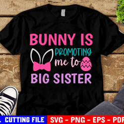 Bunny Is Promoting Me To Big Sister Svg, Pregnancy Svg, Kids Easter Shirt Svg, Cousins Svg, Funny Siblings Svg Files
