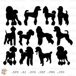 Poodle Svg, Poodle Silhouette, Dog Cricut, Dog Svg, Stencil Template Dxf, Clipart Png, Poodle Cricut