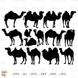 Camel Svg Silhouette Animal Cricut Stencil Template Dxf Clipart Png