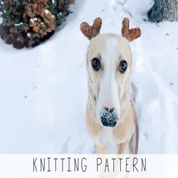 Dog Christmas Cowl KNITTING PATTERN Dog Snood Knit Pattern Easy Dog Collar Pattern Reindeer Pattern Dog Christmas Gift