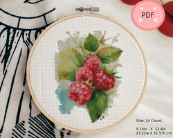 Cross Stitch Pattern , Watercolor Raspberries,Pdf , Instant Download , Fruits X Stitch Chart,Pink Colors