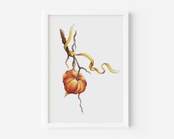 Watercolor Flowers,Physalis Cross Stitch Pattern,Golden Berry Chart Needlepoint Embroidery,Plant Printable PDF File