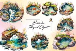 Watercolor Tidepool Clipart