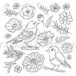 WILD BIRDS And Flowers Robin Finely Hand Drawn Illustration