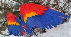 XL movable Scarlet Macaw wings for cosplay costume and photoshoots/photo props/parrot wings