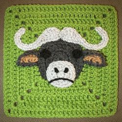 Buffalo Granny Square Crochet Pattern