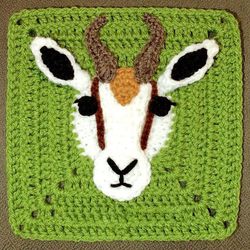 Springbok Granny Square Crochet Pattern